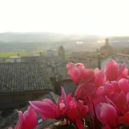 La Terrazza Di San Rufino *