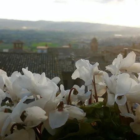 La Terrazza Di San Rufino Lägenhet *
